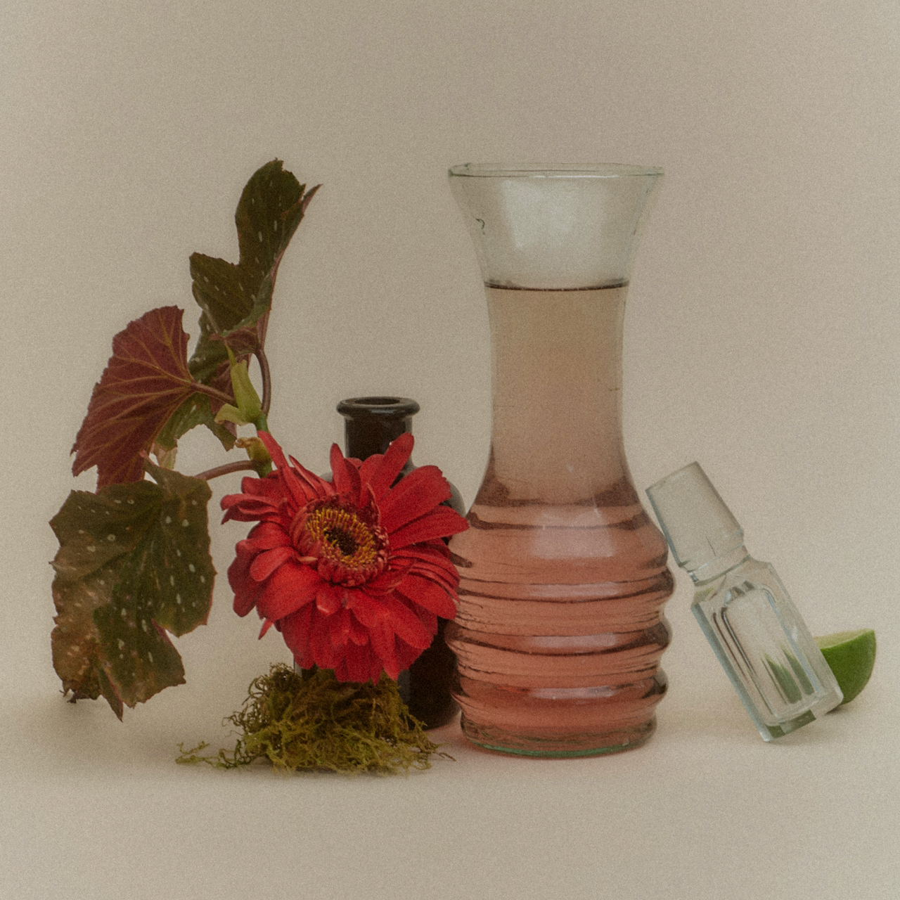 Proprietary Qi & Dosha-Phyto Infusion